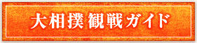 観戦ガイド